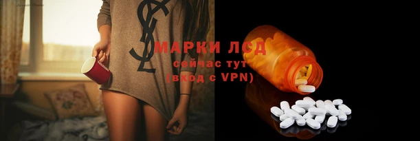 spice Балахна